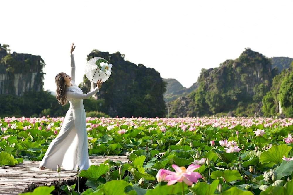 Stroll through the dreamy lotus pond via a bamboo path, best enjoyed in full bloom season